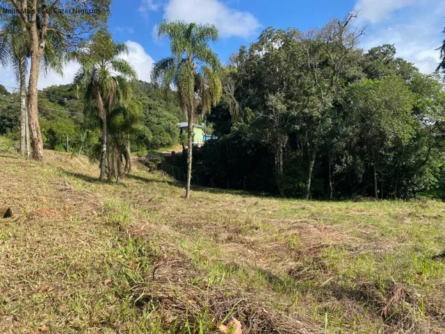Imagem 2: TERRENO COMERCIAL em Nova Petrópolis - RS, Bavária