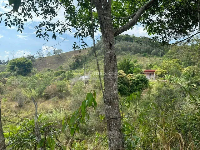 Imagem 4: Terreno / lote com venda por R$320.000