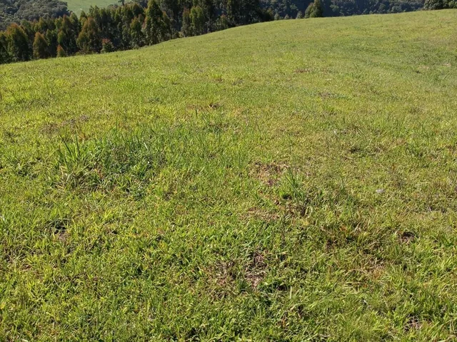 Imagem: Terreno Rio Do Sul/Sc