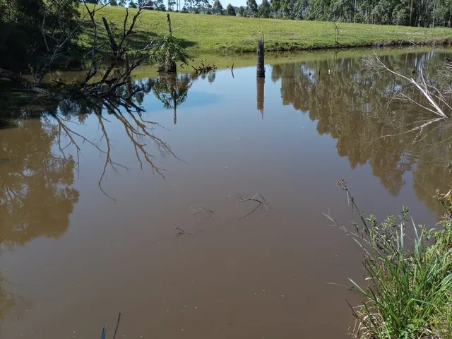 Imagem 15: Terreno Rio Do Sul/Sc