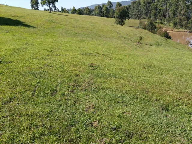 Imagem 11: Terreno Rio Do Sul/Sc