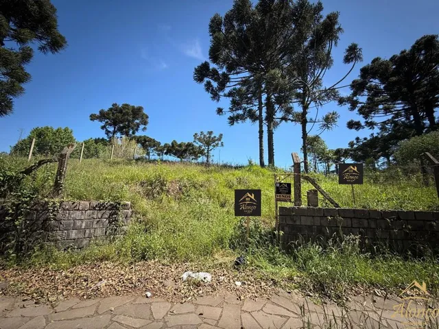 Imagem 7: Terreno à venda com 1.025,00 M². Bairro Germânia, Nova Petrópolis RS!