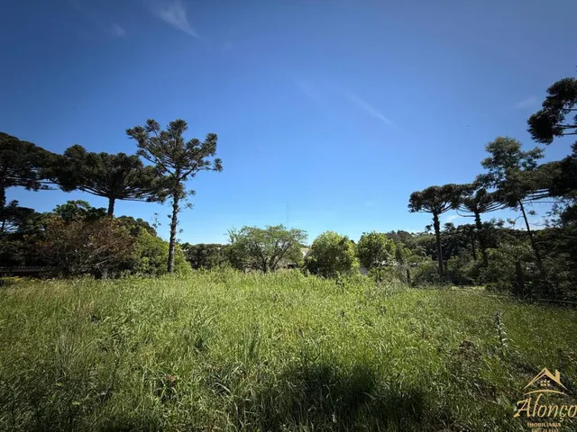 Imagem 10: Terreno à venda com 1.025,00 M². Bairro Germânia, Nova Petrópolis RS!