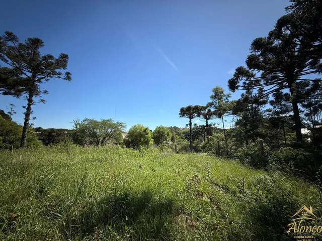Imagem 13: Terreno à venda com 1.025,00 M². Bairro Germânia, Nova Petrópolis RS!