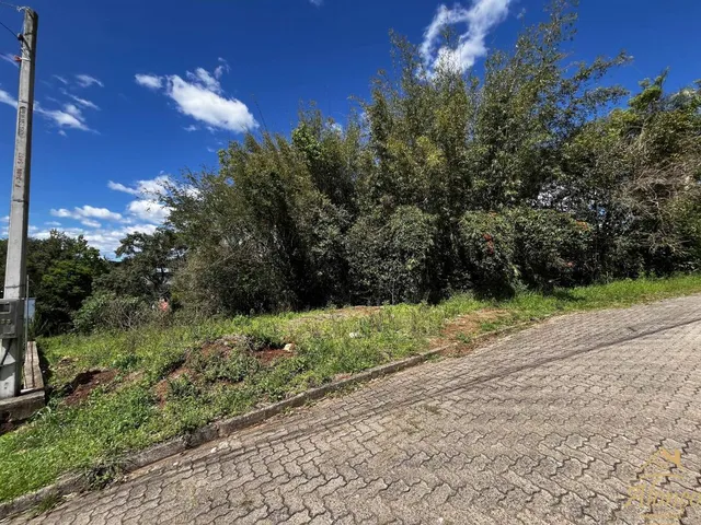 Imagem 3: Terreno de 444,37 m² no Bairro Pousada da Neve, Nova Petrópolis RS!