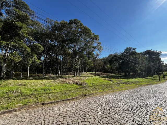 Imagem 1: Terrenos no bairro Pousada da Neve em Nova Petrópolis, RS