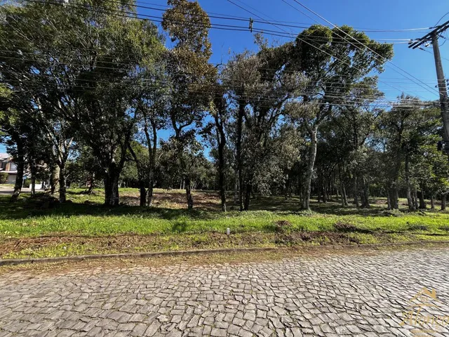 Imagem 7: Terrenos no bairro Pousada da Neve em Nova Petrópolis, RS