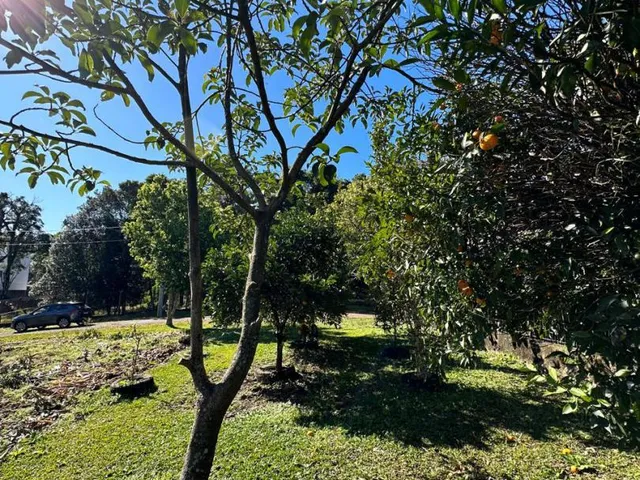 Imagem 4: Terreno à venda com 436,87 M². Bairro Vila Germânia, Nova Petrópolis RS!