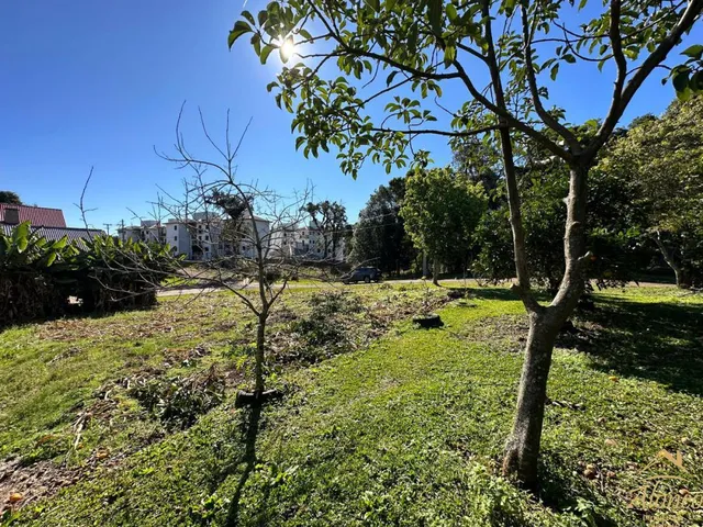 Imagem 7: Terreno à venda com 436,87 M². Bairro Vila Germânia, Nova Petrópolis RS!