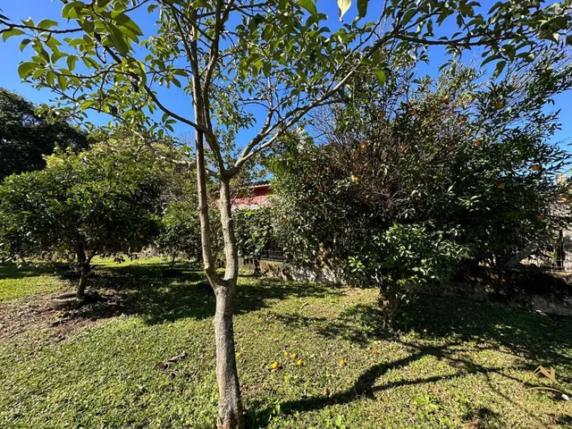 Imagem 10: Terreno à venda com 436,87 M². Bairro Vila Germânia, Nova Petrópolis RS!