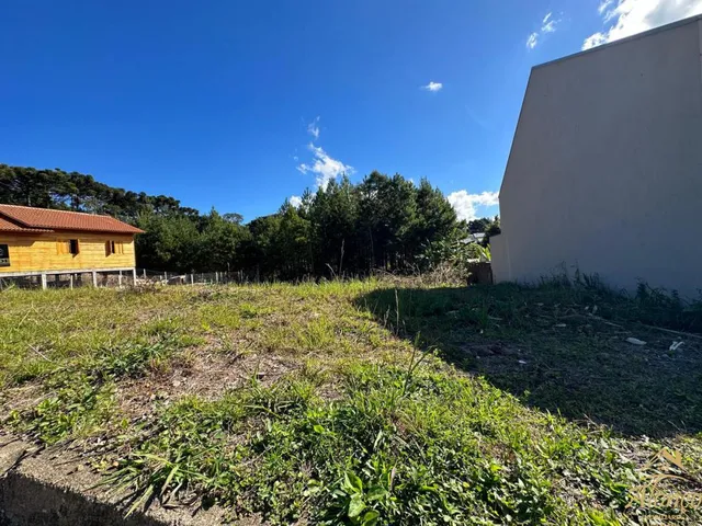 Imagem 3: Terreno à venda com 384 m², no bairro Vila Germânia, nova Petrópolis RS!