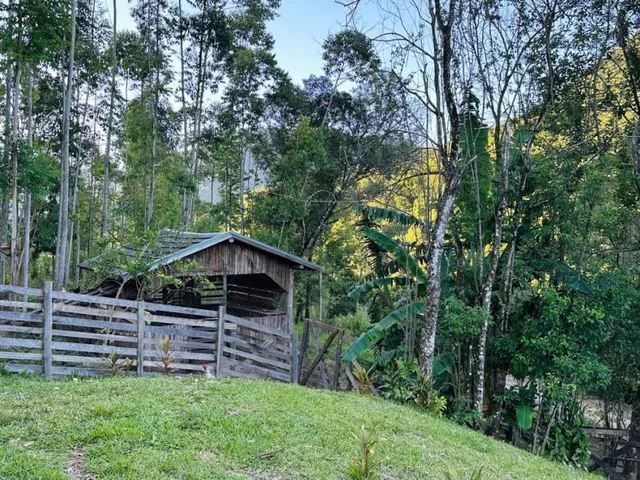 Imagem 15: Sítio com 12 hectares, bairro Linha Pirajá na cidade de Nova Petrópolis RS!