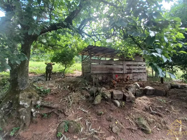 Imagem 3: Sitio com duas casas à venda com 3 hectares na Linha Riachuelo em Nova Petrópolis RS