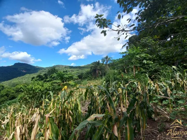 Imagem 15: Sitio com duas casas à venda com 3 hectares na Linha Riachuelo em Nova Petrópolis RS