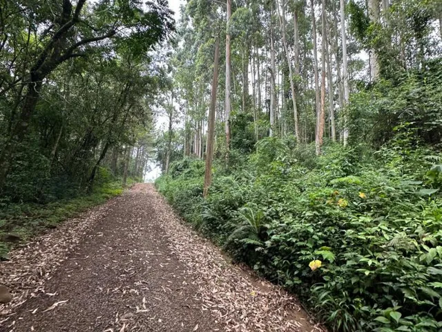 Imagem: Área de terra à venda com 24.822,71 metros