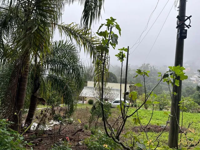 Imagem 2: Casa com 01 dormitório. Bairro Bavária Nova Petrópolis RS