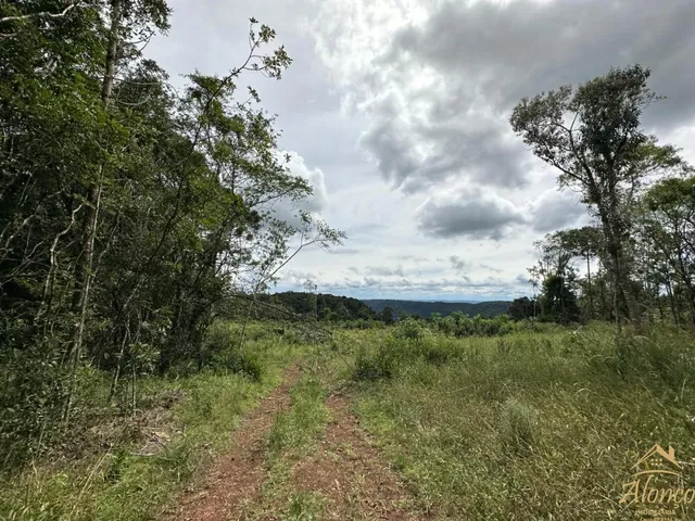 Imagem 3: Área de terra com 21.000 m². Bairro Linha Imperial. Nova Petrópolis RS!