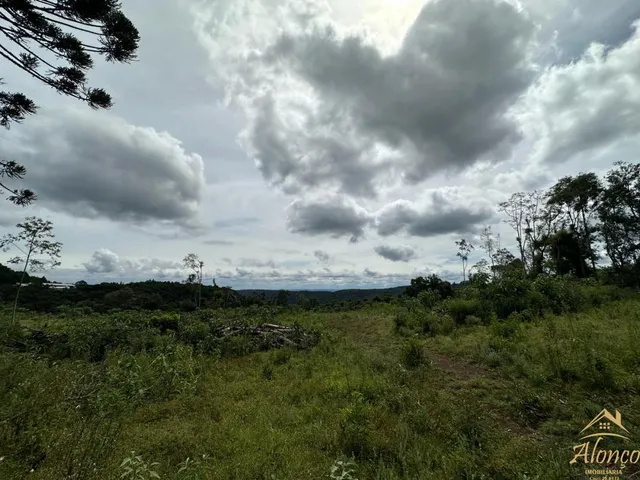 Imagem 6: Área de terra com 21.000 m². Bairro Linha Imperial. Nova Petrópolis RS!
