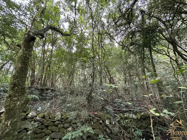 Imagem 9: Área de terra com 21.000 m². Bairro Linha Imperial. Nova Petrópolis RS!