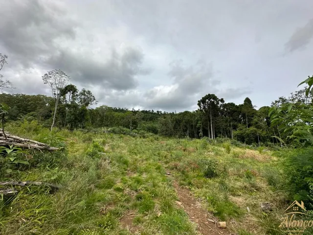 Imagem 12: Área de terra com 21.000 m². Bairro Linha Imperial. Nova Petrópolis RS!