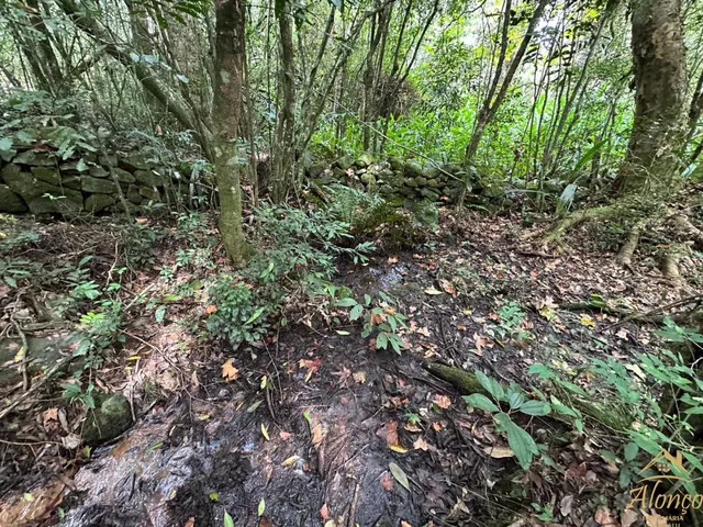 Imagem 15: Área de terra com 21.000 m². Bairro Linha Imperial. Nova Petrópolis RS!