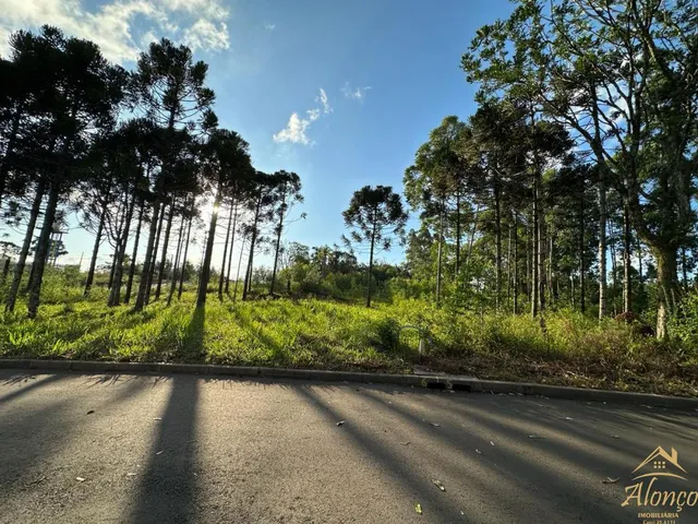 Imagem: Terreno com 420 metros quadrados, bairro