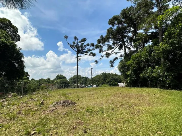 Imagem 7: Terreno à venda com 472 m², no bairro Vila Germânia, Nova Petrópolis RS!