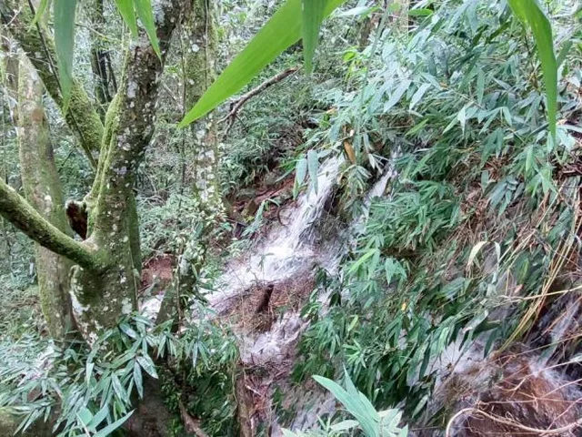 Imagem 3: Área de terra bairro Linha Olinda, Nova Petrópolis RS