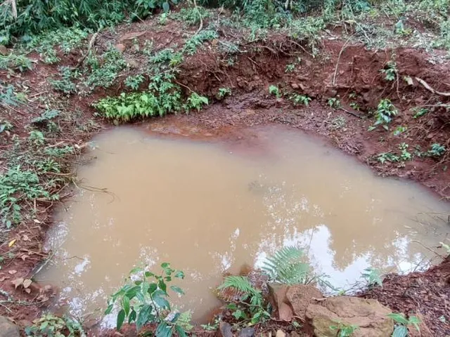 Imagem 6: Área de terra bairro Linha Olinda, Nova Petrópolis RS