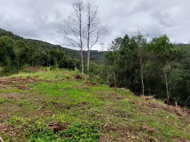 Imagem 9: Área de terra bairro Linha Olinda, Nova Petrópolis RS