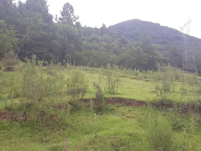 Imagem: Sítio Linha Riachuelo, Nova Petrópolis