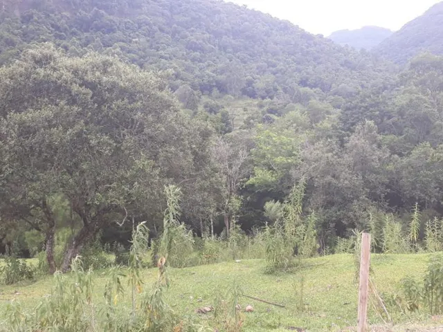 Imagem 4: Sítio Linha Riachuelo, Nova Petrópolis RS