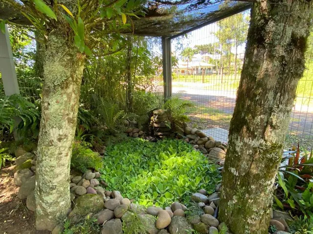 Imagem 4: Casa a venda com três dormitórios sendo uma suíte. Bairro Juriti, Nova Petrópolis RS