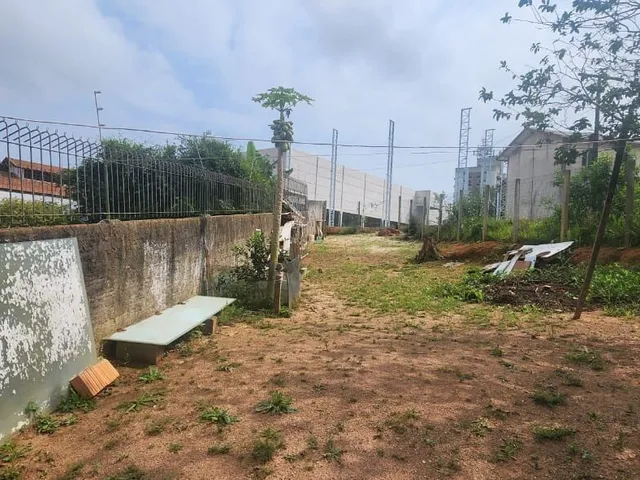 Imagem: Terreno Lote - Estreito