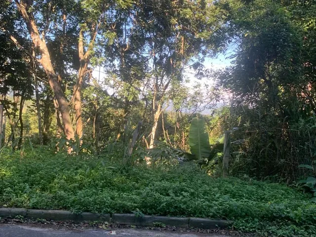 Imagem 3: Terreno avenda bairro Jurere Florianópolis SC