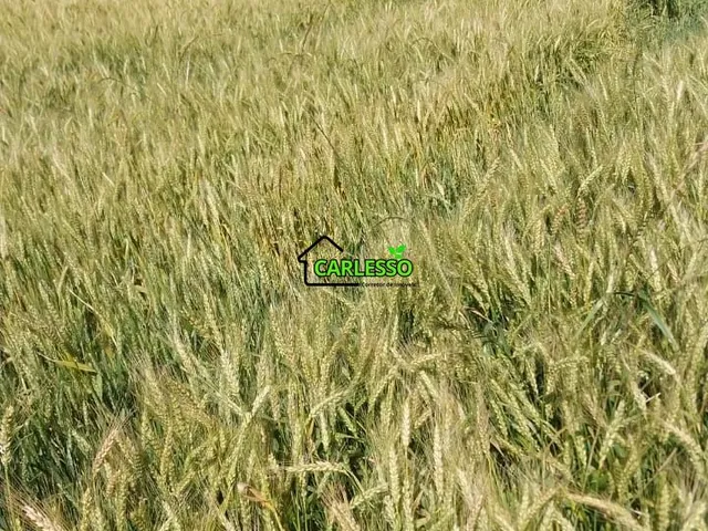 Imagem 2: Área de 11,4 ha com casa