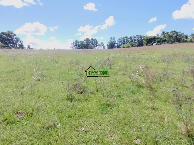 Imagem 4: Área rural Fazenda / sítio com 3 dormitórios
