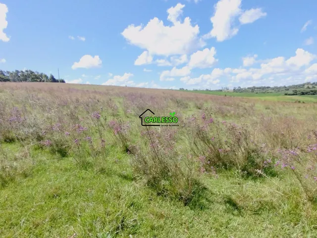 Imagem 16: Área rural Fazenda / sítio com 3 dormitórios