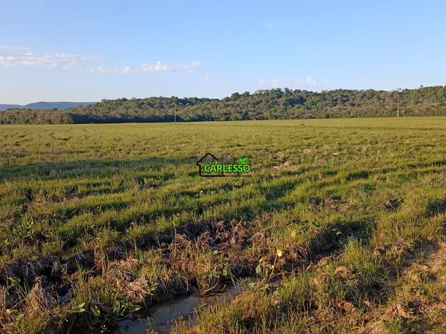 Imagem: Área rural de 55 ha