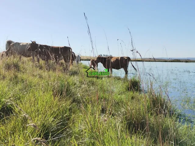 Imagem 2: Área rural de 28 ha