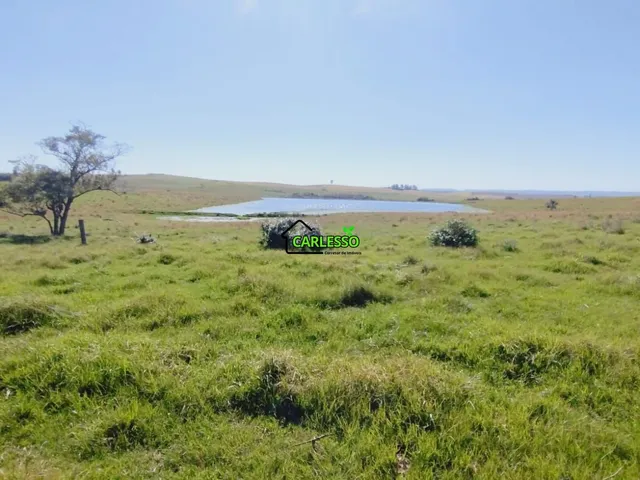 Imagem 8: Área rural de 28 ha