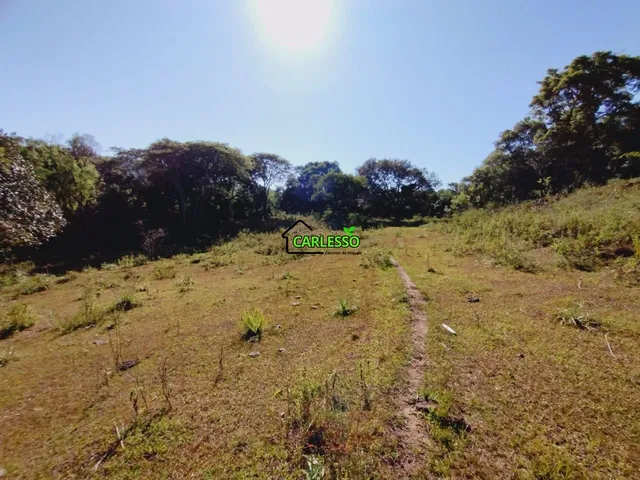 Imagem 8: Chácara de 25 ha