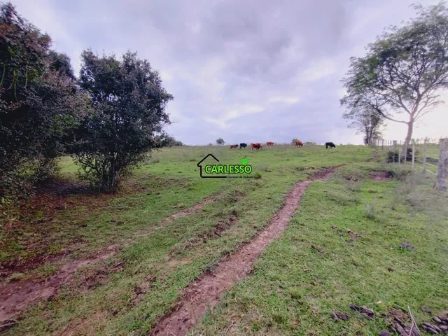 Imagem 12: Área rural de 6 ha