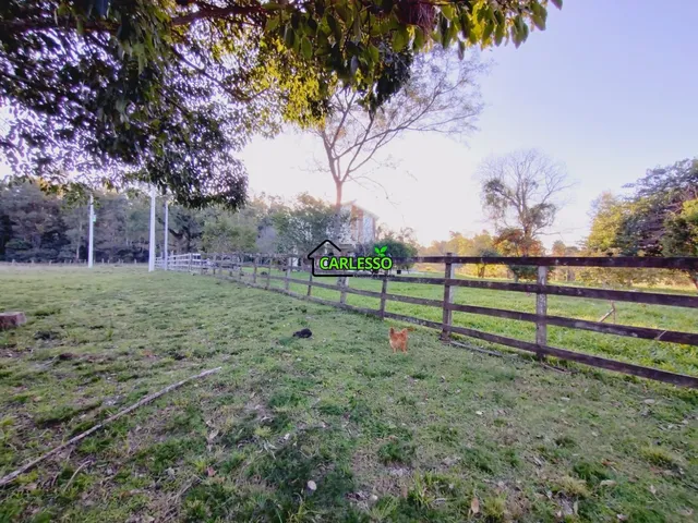 Imagem 11: Chácara de 7 ha em Dilermando de Aguiar