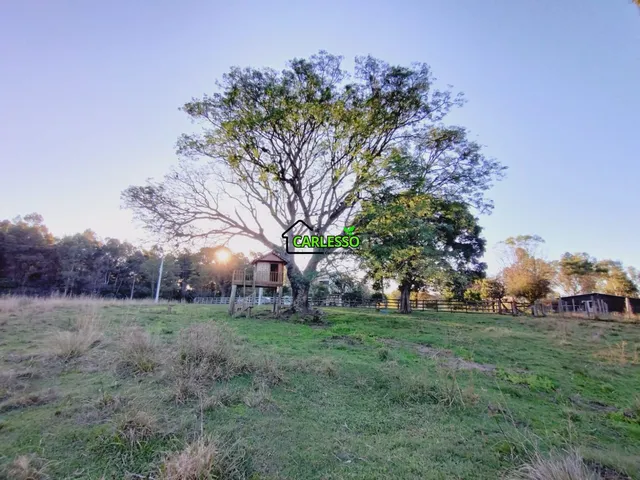 Imagem 14: Chácara de 7 ha em Dilermando de Aguiar