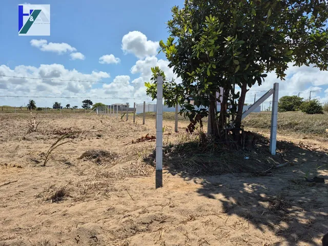 Imagem 4: Terreno em Loteamento em Praia Bela-PB