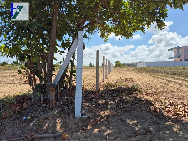 Imagem 10: Terreno em Loteamento em Praia Bela-PB