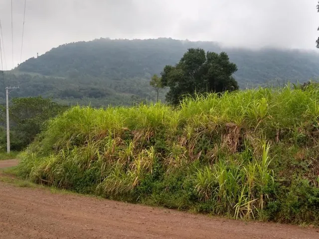 Imagem: Área ideal para Sitio