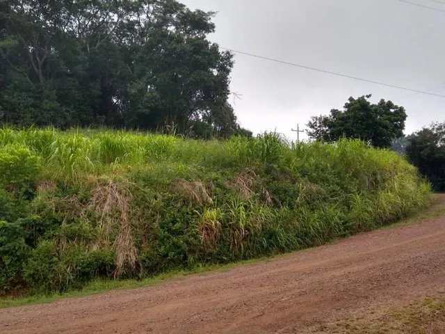 Imagem 4: Área ideal para Sitio