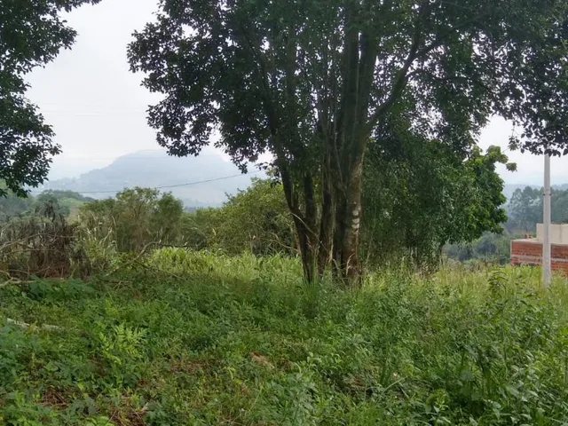 Imagem 7: Área ideal para Sitio